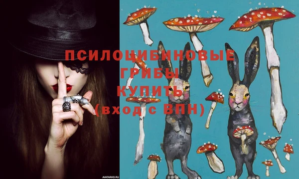 прущая мука Армянск