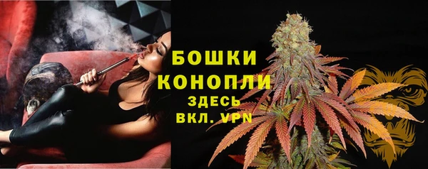 амф Арсеньев