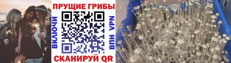Псилоцибиновые грибы мицелий  Краснослободск 